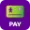 Vivo Pay